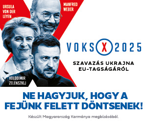 voks 300 x250 