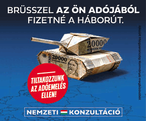 nemzeti k 300x250 adoemelés ellen 