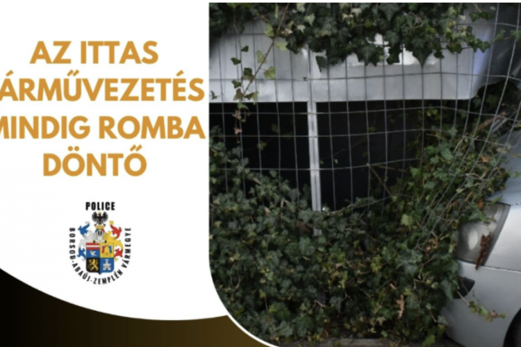 ITTASAN VEZETNI? NA MÉG MIT NEM! 